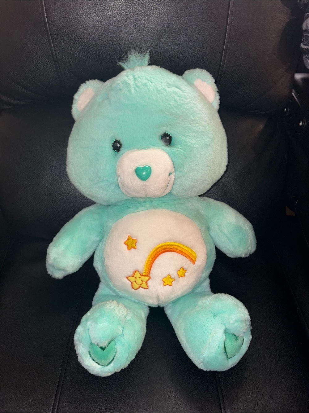 22” wish bear Care Bear